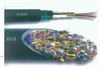 HYA 100×2×0.50mmHYA 100×2×0.50mm 通信電(diàn)纜 HYA 通信電(diàn)纜型号