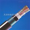 HYA53-50*2*0.5HYA53通信電(diàn)纜50*2*0.5